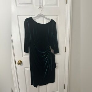 Alex Evenings Emerald Velvet Long Sleeve Dress